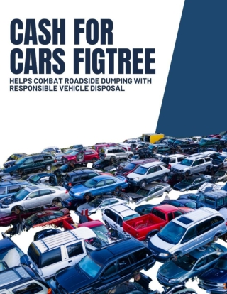 Cash for Cars Figtree Helps Combat Roadside Dumping With Responsible Vehicle Disposal