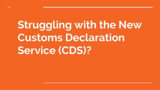 Struggling with the New Customs Declaration Service (CDS)