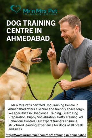 Dog Training Centre in Ahmedabad