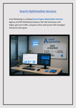 Search Optimization Services - Ansh Marketing