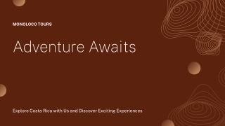 Mono Loco Tours — Roatán’s Exclusive Tiki Catamaran Adventures