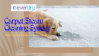 Carpet Steam Cleaning Sydney - Professional Deep Clean by Everdry