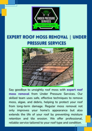 Expert Roof Moss Removal  Under Pressure Services