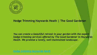 Hedge Trimming Haywards Heath  The Good Gardener