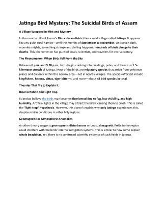 Jatinga Bird Mystery