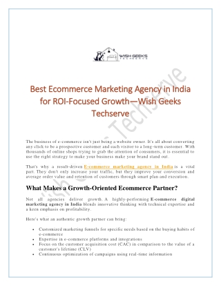 Best Ecommerce Marketing Agency in India for ROI-Focused Growth—Wish Geeks Techserve