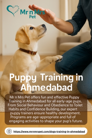 Puppy Training in Ahmedabad