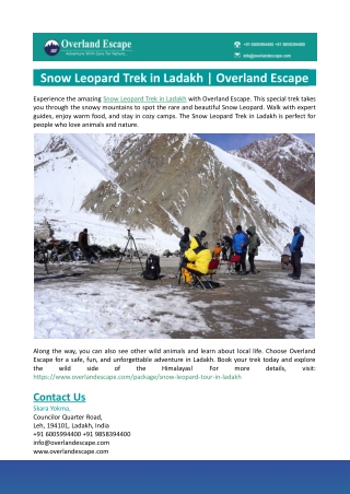 Snow Leopard Trek in Ladakh-Overland Escape