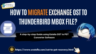 How to migrate exchange OST to Tunderbird MBOX