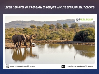 Safari Seekers: Your Gateway to Kenya’s Wildlife and Cultural Wonders
