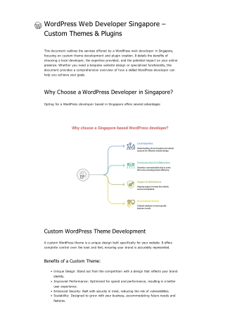 WordPress Web Developer Singapore – Custom Themes & Plugins