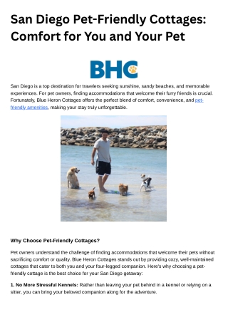 6. San Diego Pet-Friendly Cottages Comfort for You and Your Pet