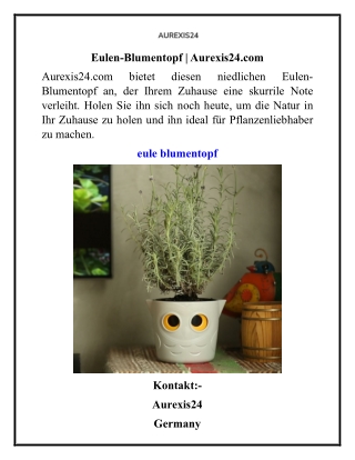 Eulen-Blumentopf  Aurexis24.com