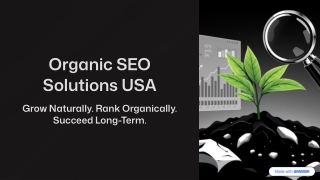Organic SEO Solutions USA | Boost Your Website Naturally