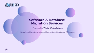Software & Database Migration Services
