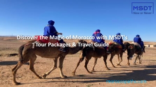 Discover the Magic of Morocco with MSDT's Tour Packages & Travel Guide