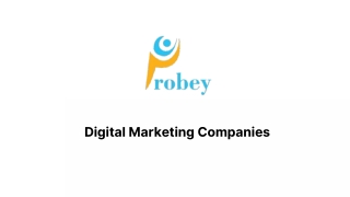 Probey Services – One of the Leading Digital Marketing Companies in India