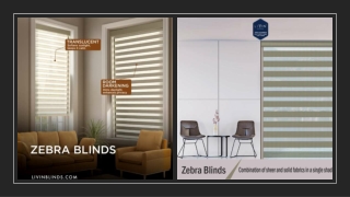 Zebra Blinds for Windows