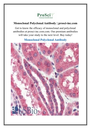 Monoclonal Polyclonal Antibody | prosci-inc.com