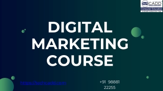 Best Digital Marketing Course in Jalandhar