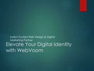 WebVoom_Presentation