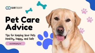Get Expert Pet Care Advice Today | Tips for Healthy & Happy Pets