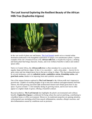 The Leaf Journal Exploring the Resilient Beauty of the African Milk Tree (Euphorbia trigona)