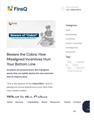 The Cobra Effect: When Incentives Backfire