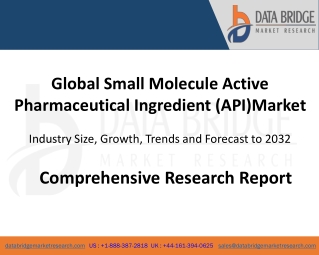 Small Molecule Active Pharmaceutical Ingredient (API) Market