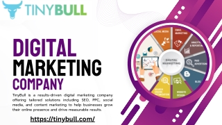 Grow Online with a Result-Oriented Digital Marketing Company – TinyBull