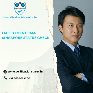 Employment Pass Singapore Status Check | Fast & Accurate