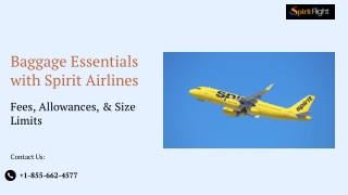 Baggage Essentials with Spirit Airlines