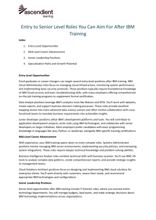 Entry to Senior Level Roles You Can Aim For After IBM Training