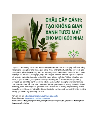 CÂY PHONG THỦY CLUB_ Chọn Chậu Cây Cảnh Cho Không Gian Hài Hòa