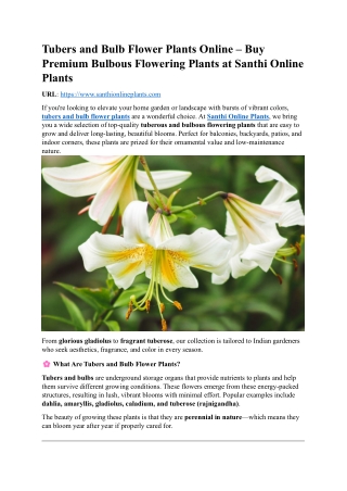 Tubers and Bulb Flower Plants Online