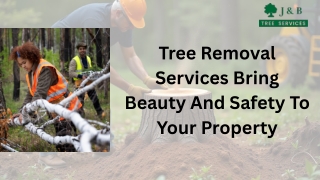 Tree Removal Services Bring Beauty And Safety To Your Property