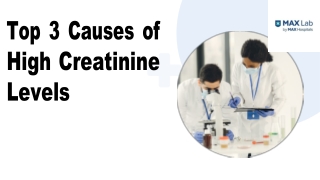 Top 3 Causes of High Creatinine Levels