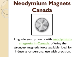 Neodymium Magnets Canada