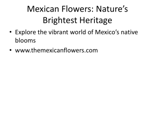 Mexican_Flowers