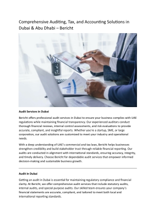 audit services in dubai-Bercht