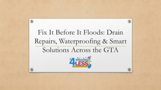 Drain Repair & Replacement Hamilton