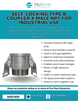 Self-Locking Type B Coupler x Male NPT for Industrial Use