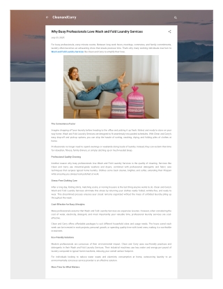 Why Busy Professionals Love Wash and Fold Laundry Services