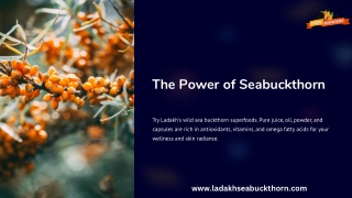 ladakh seabuckthorn