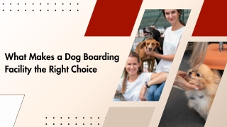 Trusted Comfort for Your Loyal Companion