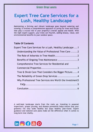 Expert Tree Care Services for a Lush, Healthy Landscape