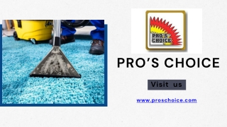 Mastering Commercial Carpet Cleaning Choosing the Right Products for Optimal Results