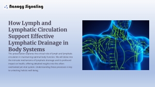 How Lymph and Lymphatic Circulation Support Effective Lymphatic Drainage in Body Systems