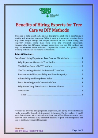 Benefits of Hiring Experts for Tree Care vs DIY Methods