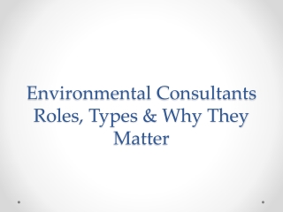 Environmental Consultants – Roles, Types & Why They Matter